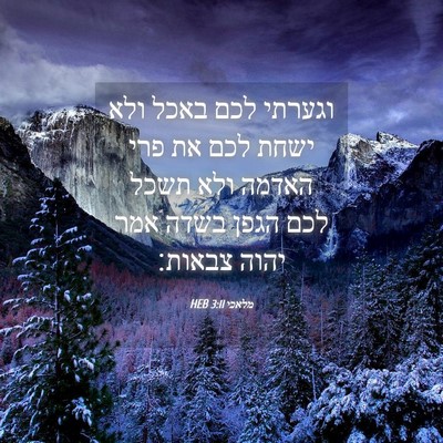 Picture 04 - מלאכי 3:11 HEB - וגערתי לכם באכל ולא ישחת - Bible Verse Picture