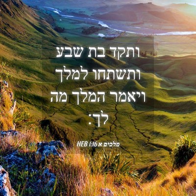 Picture 04 - מלכים א 1:16 HEB - ותקד בת שבע ותשתחו למלך - Bible Verse Picture