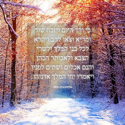 Picture 04 - מלכים א 1:25 HEB - כי ירד היום ויזבח שור ומריא - Bible Verse Picture