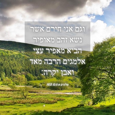 Picture 04 - מלכים א 10:11 HEB - וגם אני חירם אשר נשא זהב - Bible Verse Picture