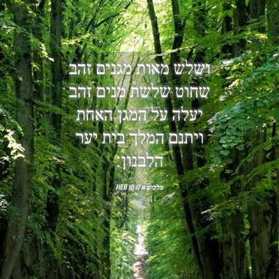 Picture 04 - מלכים א 10:17 HEB - ושלש מאות מגנים זהב שחוט - Bible Verse Picture