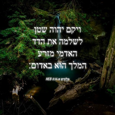 Picture 04 - מלכים א 11:14 HEB - ויקם יהוה שטן לשלמה את הדד - Bible Verse Picture