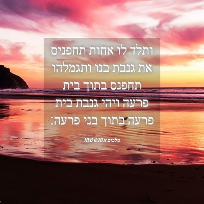 Picture 04 - מלכים א 11:20 HEB - ותלד לו אחות תחפניס את גנבת - Bible Verse Picture