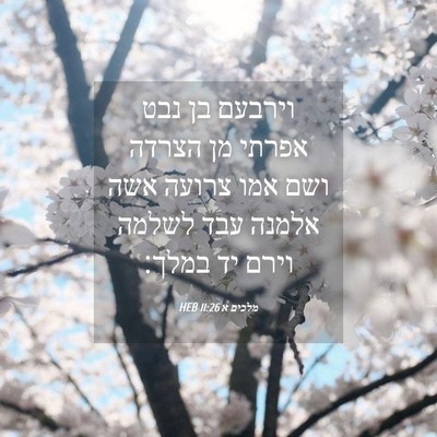 Picture 04 - מלכים א 11:26 HEB - וירבעם בן נבט אפרתי מן - Bible Verse Picture