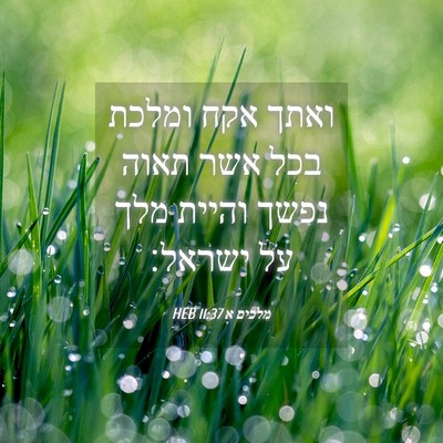Picture 04 - מלכים א 11:37 HEB - ואתך אקח ומלכת בכל אשר תאוה - Bible Verse Picture