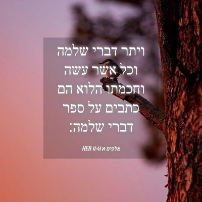 Picture 04 - מלכים א 11:41 HEB - ויתר דברי שלמה וכל אשר עשה - Bible Verse Picture