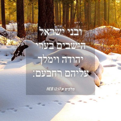 Picture 04 - מלכים א 12:17 HEB - ובני ישראל הישבים בערי - Bible Verse Picture