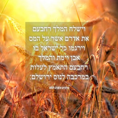 Picture 04 - מלכים א 12:18 HEB - וישלח המלך רחבעם את אדרם - Bible Verse Picture