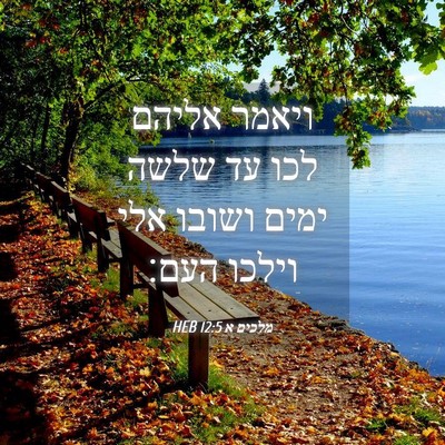 Picture 04 - מלכים א 12:5 HEB - ויאמר אליהם לכו עד שלשה - Bible Verse Picture