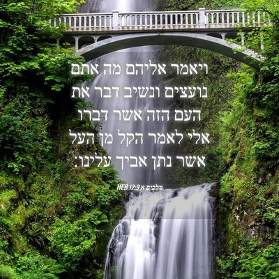 Picture 04 - מלכים א 12:9 HEB - ויאמר אליהם מה אתם נועצים - Bible Verse Picture