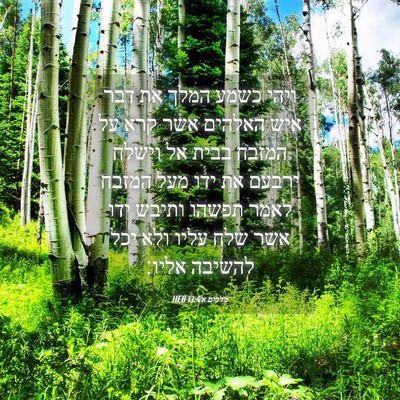 Picture 04 - מלכים א 13:4 HEB - ויהי כשמע המלך את דבר איש - Bible Verse Picture