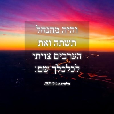 Picture 04 - מלכים א 17:4 HEB - והיה מהנחל תשתה ואת הערבים - Bible Verse Picture