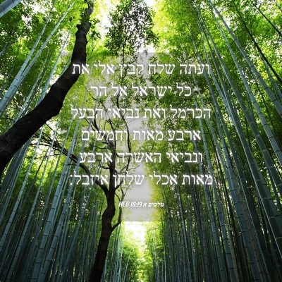 Picture 04 - מלכים א 18:19 HEB - ועתה שלח קבץ אלי את כל - Bible Verse Picture