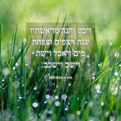 Picture 04 - מלכים א 19:6 HEB - ויבט והנה מראשתיו עגת - Bible Verse Picture