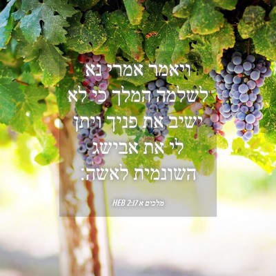 Picture 04 - מלכים א 2:17 HEB - ויאמר אמרי נא לשלמה המלך כי - Bible Verse Picture