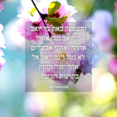 Picture 04 - מלכים א 2:28 HEB - והשמעה באה עד יואב כי יואב - Bible Verse Picture