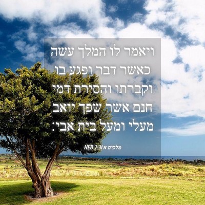 Picture 04 - מלכים א 2:31 HEB - ויאמר לו המלך עשה כאשר דבר - Bible Verse Picture