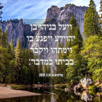 Picture 04 - מלכים א 2:34 HEB - ויעל בניהו בן יהוידע ויפגע - Bible Verse Picture
