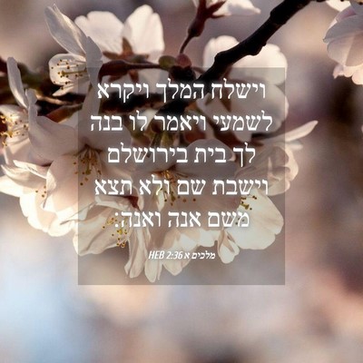 Picture 04 - מלכים א 2:36 HEB - וישלח המלך ויקרא לשמעי - Bible Verse Picture
