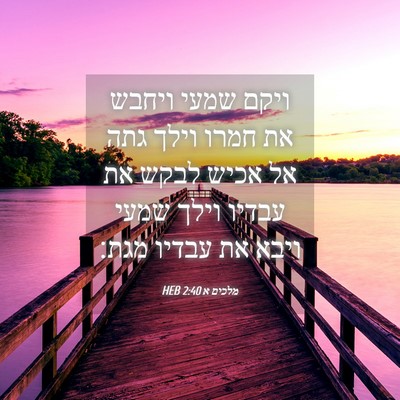 Picture 04 - מלכים א 2:40 HEB - ויקם שמעי ויחבש את חמרו - Bible Verse Picture