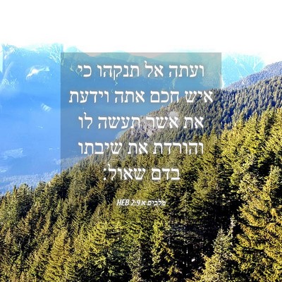 Picture 04 - מלכים א 2:9 HEB - ועתה אל תנקהו כי איש חכם - Bible Verse Picture