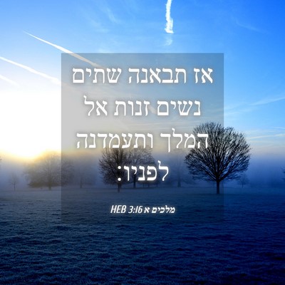 Picture 04 - מלכים א 3:16 HEB - אז תבאנה שתים נשים זנות אל - Bible Verse Picture