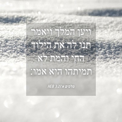 Picture 04 - מלכים א 3:27 HEB - ויען המלך ויאמר תנו לה את - Bible Verse Picture