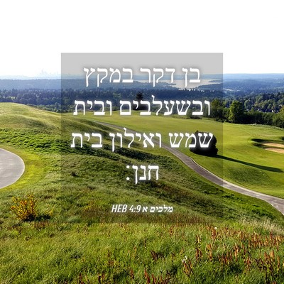 Picture 04 - מלכים א 4:9 HEB - בן דקר במקץ ובשעלבים ובית - Bible Verse Picture