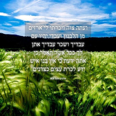 Picture 04 - מלכים א 5:6 HEB - ועתה צוה ויכרתו לי ארזים מן - Bible Verse Picture