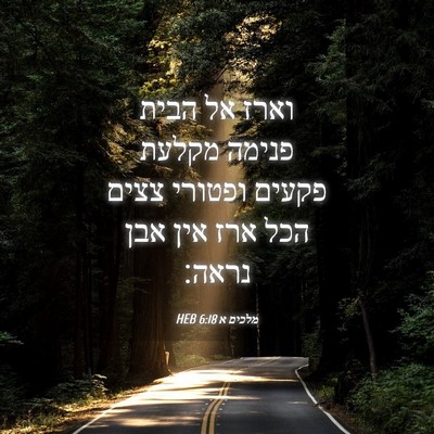 Picture 04 - מלכים א 6:18 HEB - וארז אל הבית פנימה מקלעת - Bible Verse Picture