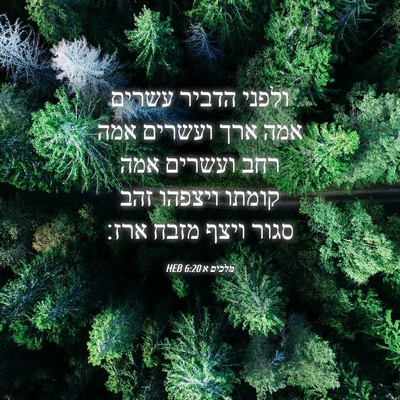 Picture 04 - מלכים א 6:20 HEB - ולפני הדביר עשרים אמה ארך - Bible Verse Picture