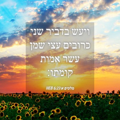 Picture 04 - מלכים א 6:23 HEB - ויעש בדביר שני כרובים עצי - Bible Verse Picture