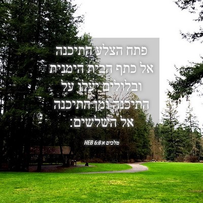 Picture 04 - מלכים א 6:8 HEB - פתח הצלע התיכנה אל כתף הבית - Bible Verse Picture