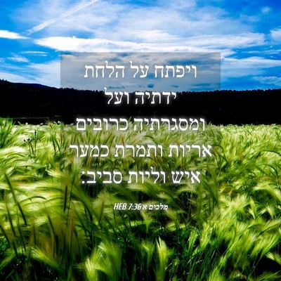 Picture 04 - מלכים א 7:36 HEB - ויפתח על הלחת ידתיה ועל - Bible Verse Picture