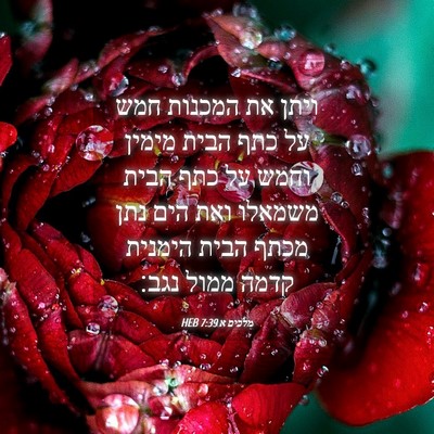 Picture 04 - מלכים א 7:39 HEB - ויתן את המכנות חמש על כתף - Bible Verse Picture