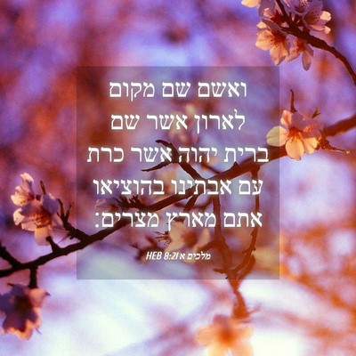 Picture 04 - מלכים א 8:21 HEB - ואשם שם מקום לארון אשר שם - Bible Verse Picture