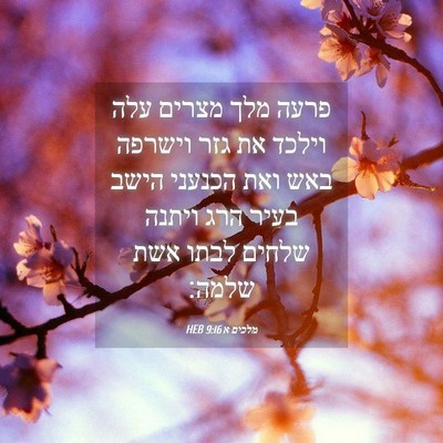 Picture 04 - מלכים א 9:16 HEB - פרעה מלך מצרים עלה וילכד את - Bible Verse Picture