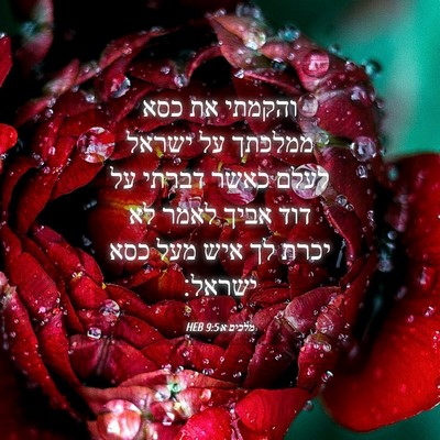 Picture 04 - מלכים א 9:5 HEB - והקמתי את כסא ממלכתך על - Bible Verse Picture