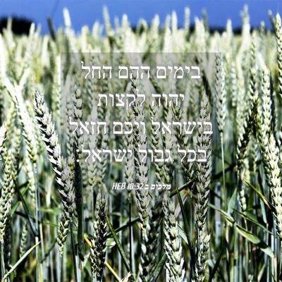Picture 04 - מלכים ב 10:32 HEB - בימים ההם החל יהוה לקצות - Bible Verse Picture