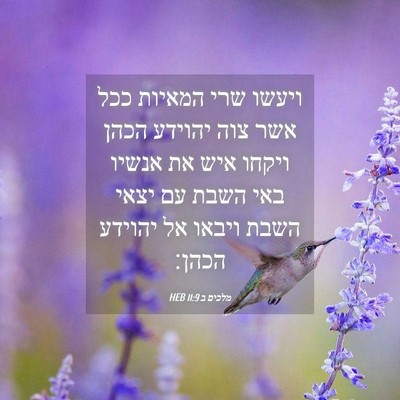 Picture 04 - מלכים ב 11:9 HEB - ויעשו שרי המאיות ככל אשר - Bible Verse Picture