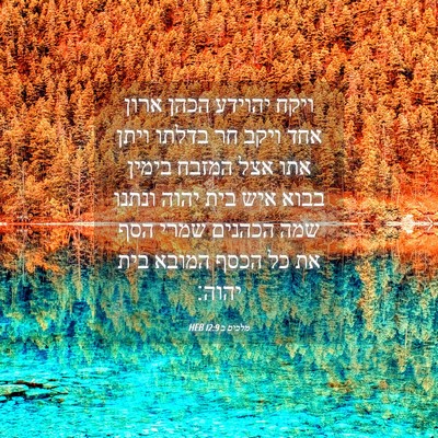 Picture 04 - מלכים ב 12:9 HEB - ויקח יהוידע הכהן ארון אחד - Bible Verse Picture