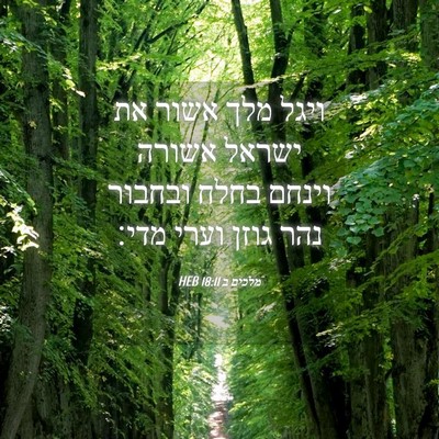 Picture 04 - מלכים ב 18:11 HEB - ויגל מלך אשור את ישראל - Bible Verse Picture