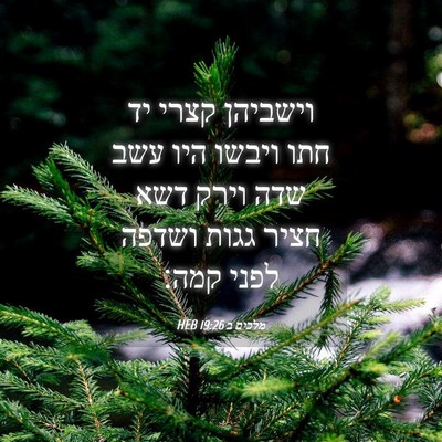 Picture 04 - מלכים ב 19:26 HEB - וישביהן קצרי יד חתו ויבשו - Bible Verse Picture