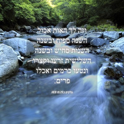 Picture 04 - מלכים ב 19:29 HEB - וזה לך האות אכול השנה ספיח - Bible Verse Picture