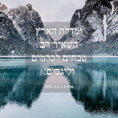 Picture 04 - מלכים ב 25:12 HEB - ומדלת הארץ השאיר רב טבחים - Bible Verse Picture
