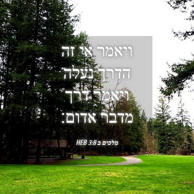 Picture 04 - מלכים ב 3:8 HEB - ויאמר אי זה הדרך נעלה ויאמר - Bible Verse Picture
