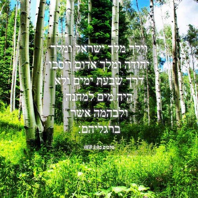 Picture 04 - מלכים ב 3:9 HEB - וילך מלך ישראל ומלך יהודה - Bible Verse Picture