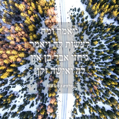 Picture 04 - מלכים ב 4:14 HEB - ויאמר ומה לעשות לה ויאמר - Bible Verse Picture