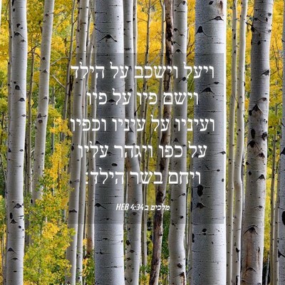 Picture 04 - מלכים ב 4:34 HEB - ויעל וישכב על הילד וישם פיו - Bible Verse Picture