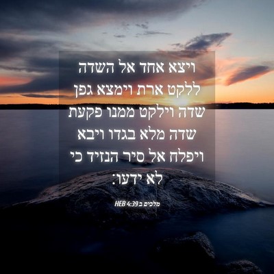 Picture 04 - מלכים ב 4:39 HEB - ויצא אחד אל השדה ללקט ארת - Bible Verse Picture
